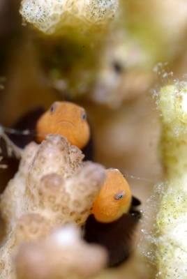 �����@����